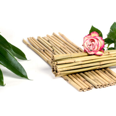 Plant supports