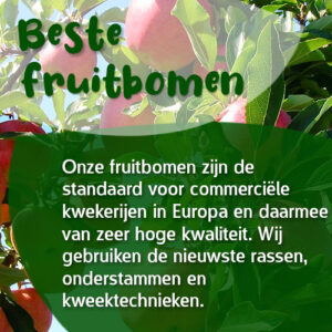 Nos arbres fruitiers sont destinés à des pépinières commerciales en Europe et sont donc de très haute qualité. Nous utilisons les variétés, les porte-greffes et les techniques de sélection les plus récents.