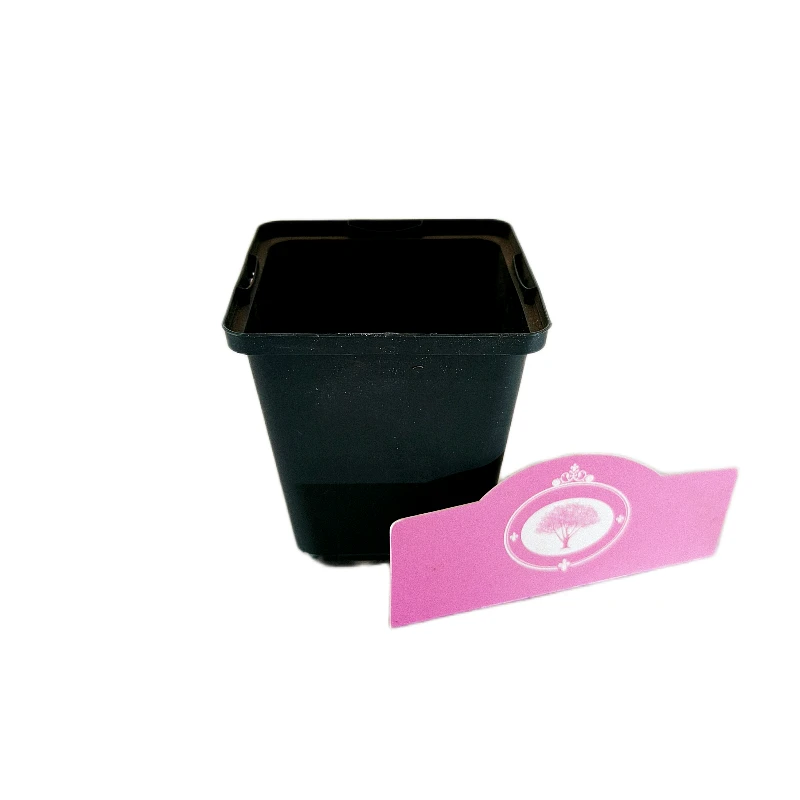 Kweekpot laag P9 - 9x9x10cm, 0,7 liter - 25 stuks