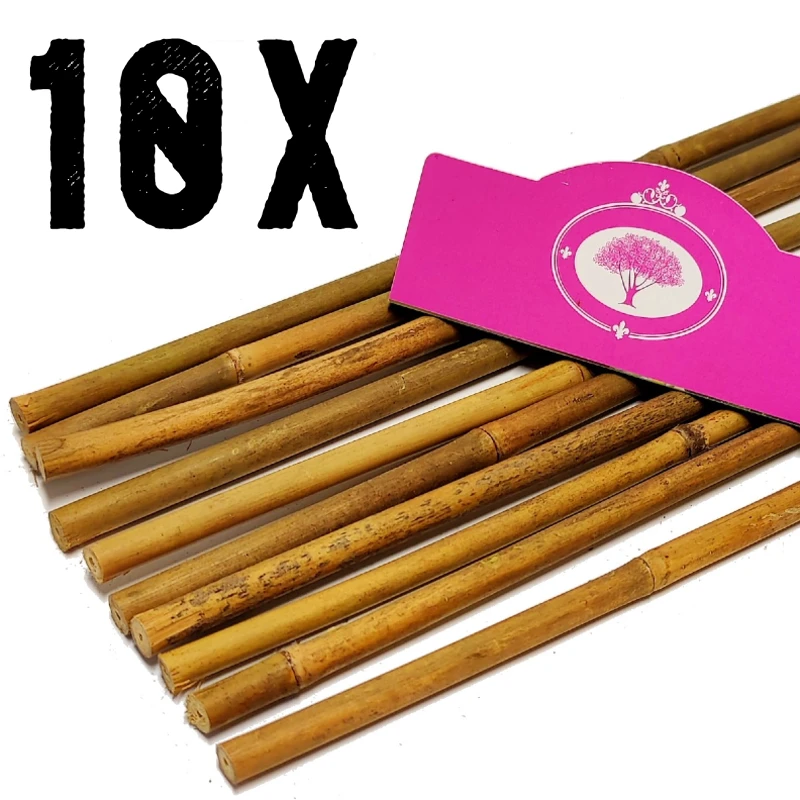 Satz von 10x Bambusstäben - Circa 150cm - Dicke 10/12mm - Tonka-Stäbe - Bambus - Pflanzenstütze